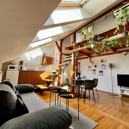 Captain Misha'S Place Belgrado Esterno foto