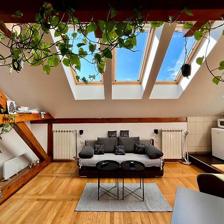 Captain Misha'S Place Belgrado Esterno foto