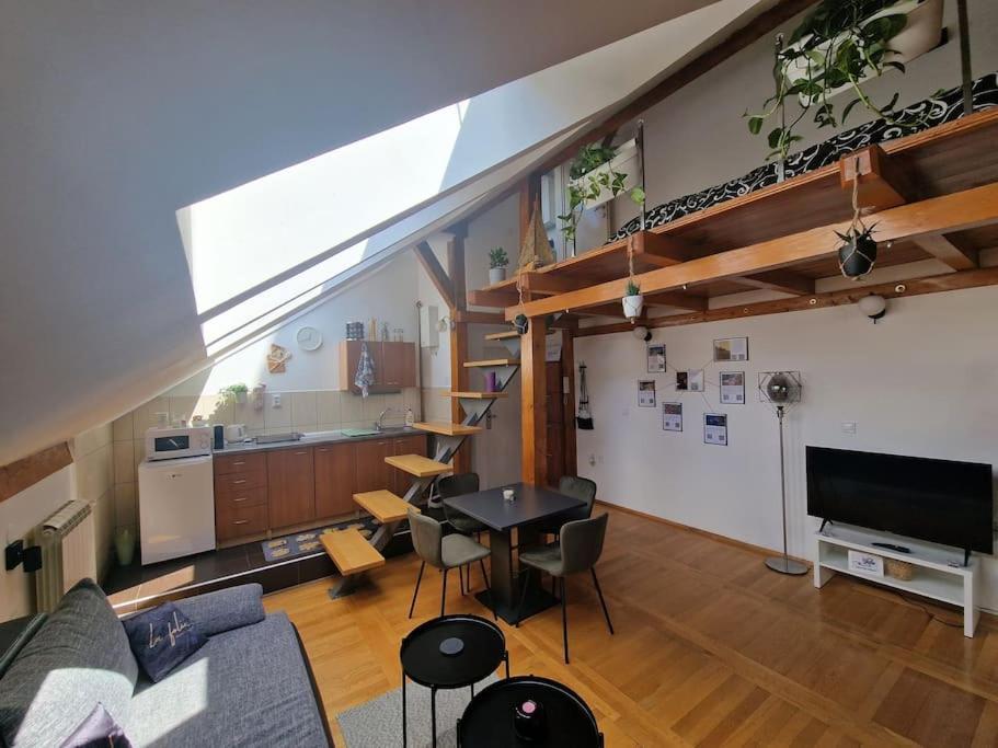 Captain Misha'S Place Belgrado Esterno foto