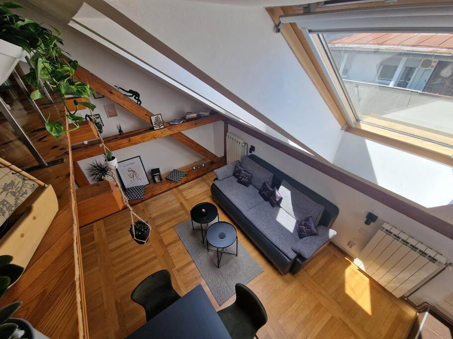 Captain Misha'S Place Belgrado Esterno foto