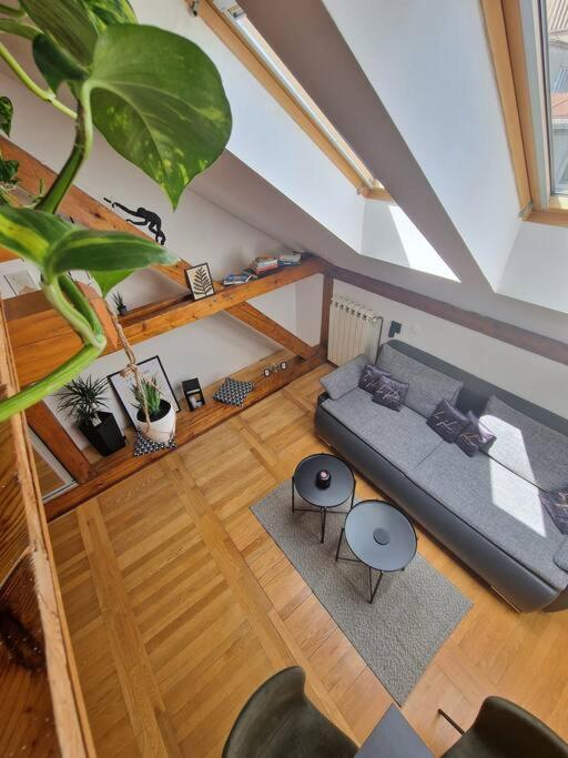 Captain Misha'S Place Belgrado Esterno foto