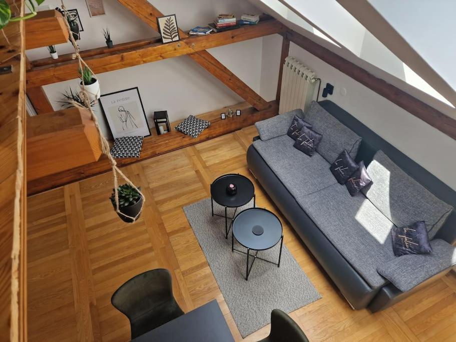 Captain Misha'S Place Belgrado Esterno foto
