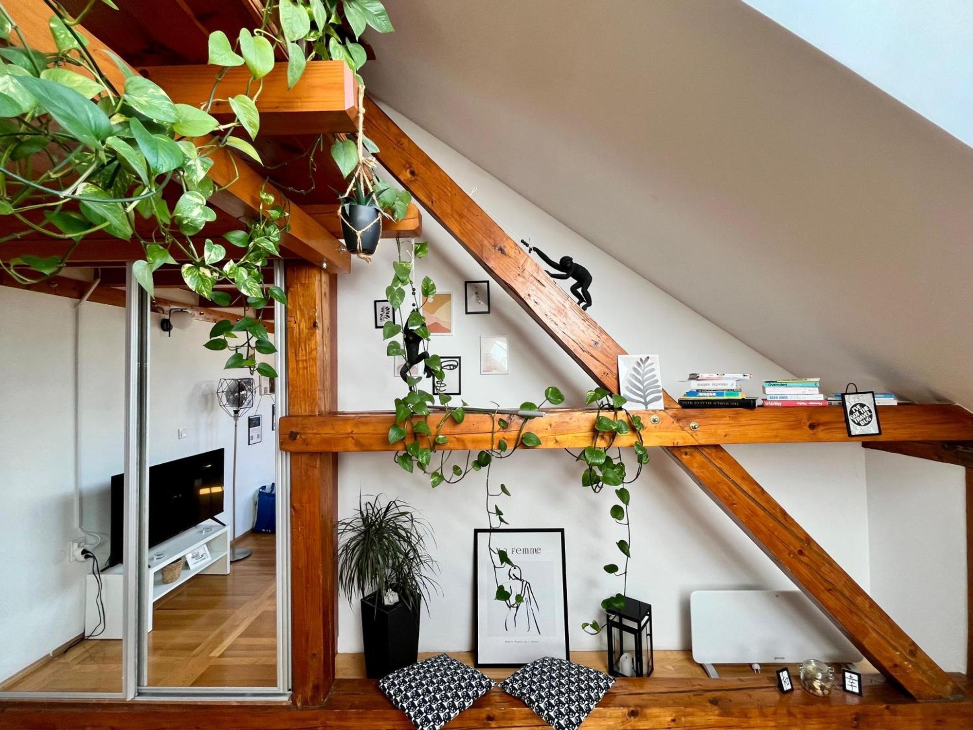 Captain Misha'S Place Belgrado Esterno foto