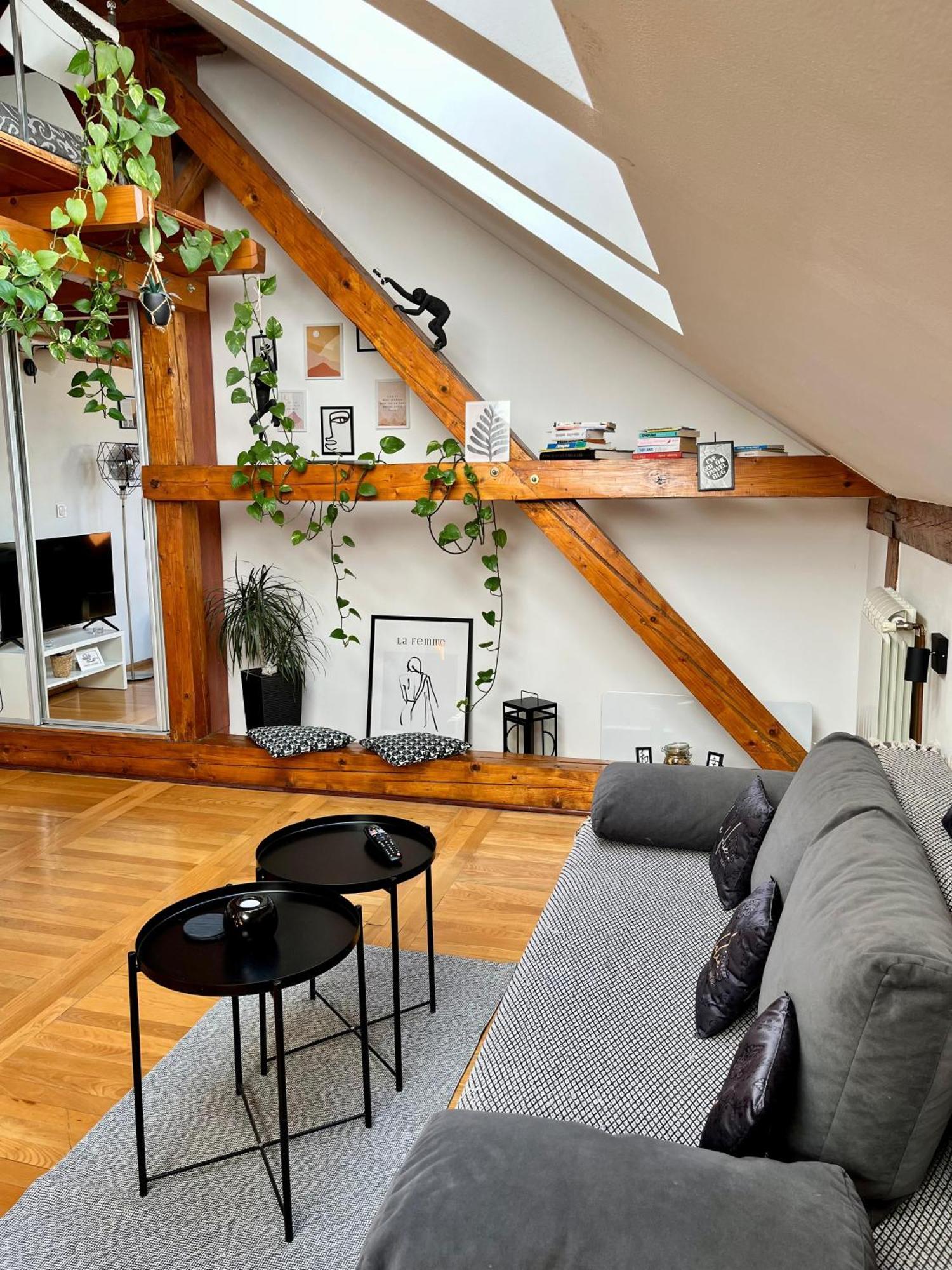 Captain Misha'S Place Belgrado Esterno foto